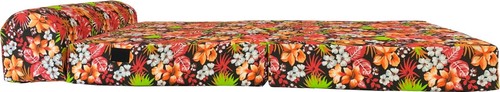 Red tropical flowers sleeper - flowers,